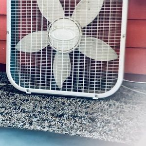 Meet your Posher, Dwayne